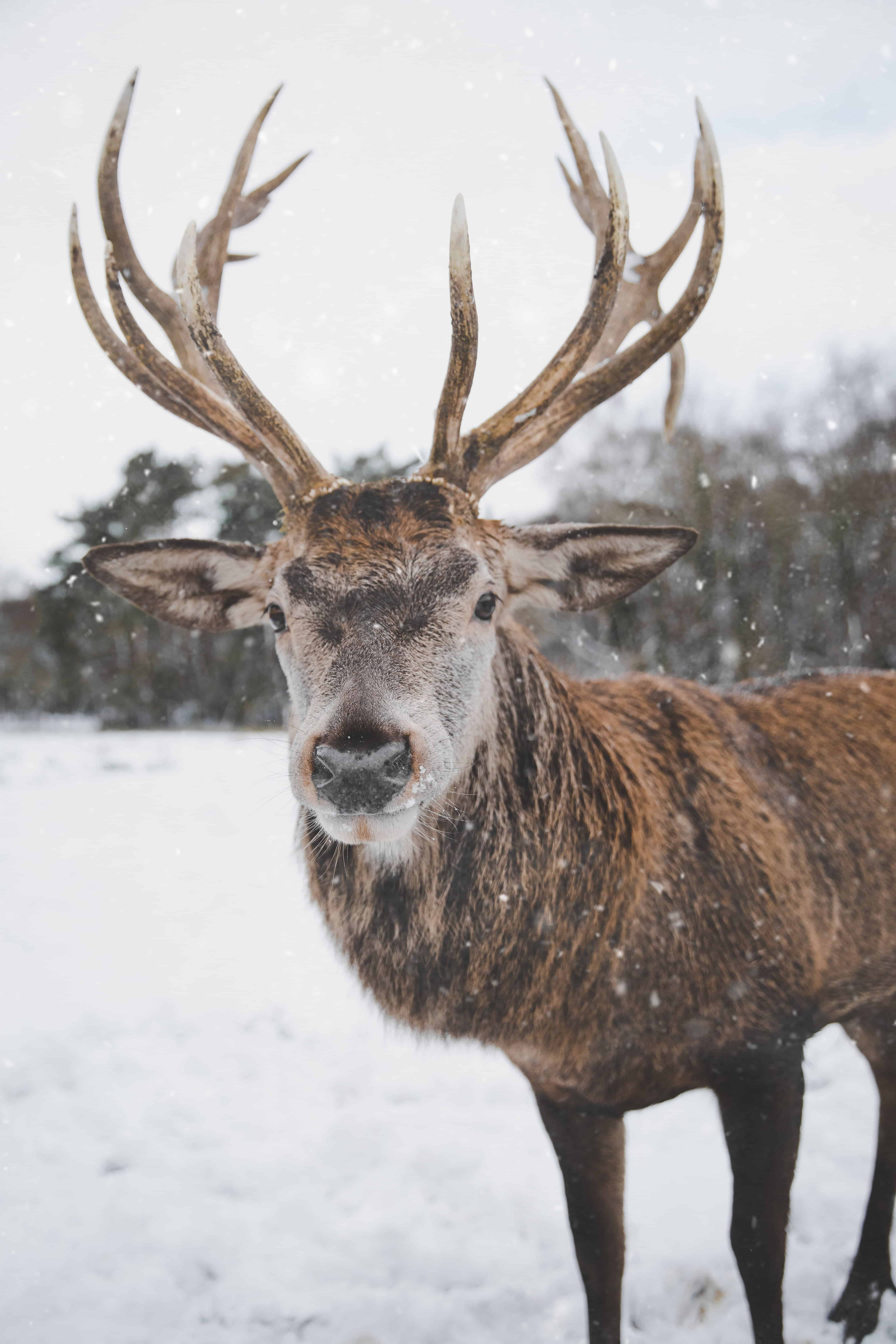 Enjoy The Little Things, Take Winter Sleigh Ride At Hardware Ranch